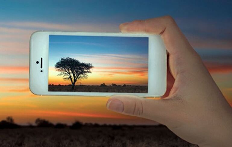 CONCURSO DE FOTOGRAFÍA KENNEDIANO