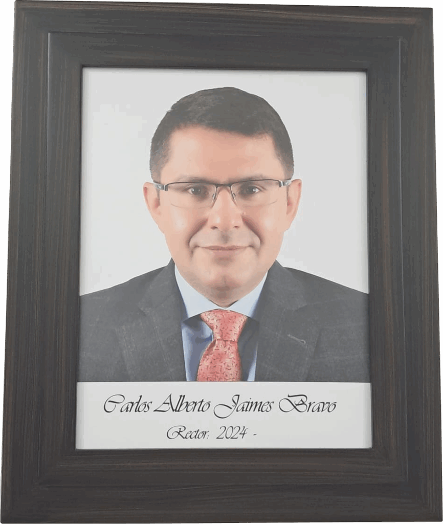 Carlos Alberto Jaimes Bravo, Rector 2024 - Actualidad